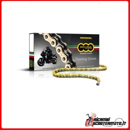 CADENA BOMBARDIER DS 650 X (4X2) 2004-2006