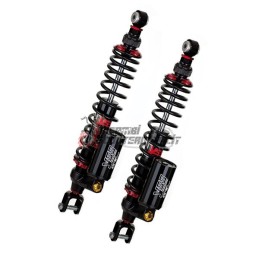 PAIR OF REAR SHOCK ABSORBERS BMW C GT 350 2018-2022 TU362-440TRCJ01