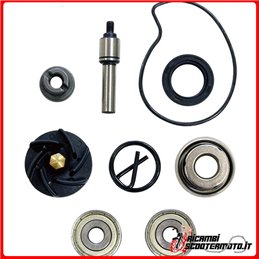 WATER PUMP OVERHAUL KIT DERBI GP1 125 2007-2008