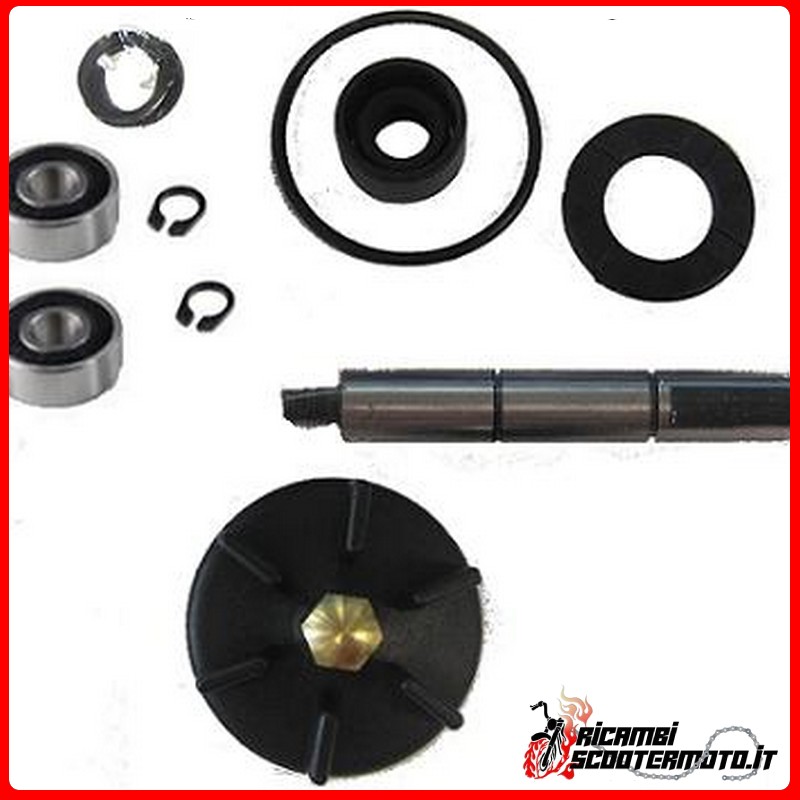 WATER PUMP OVERHAUL KIT GILERA DNA 50 - ETRIER GRIMECA 2001-2006
