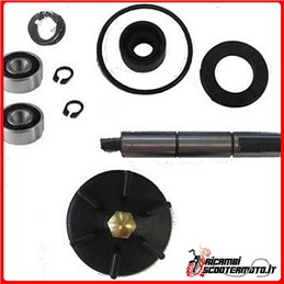 KIT DE RÉVISION DE POMPE À EAU PIAGGIO NRG 50 1994-1995