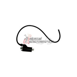 EXTERN AN DER SPULE CAGIVA Elefant AC 750 1993-1995
