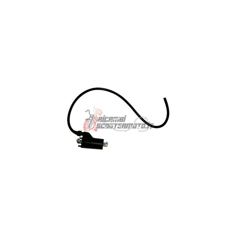 EXTERN AN DER SPULE HYOSUNG TE Rapier ATV 450 2007-2009