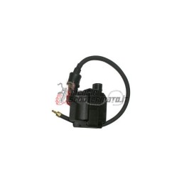 EXTERN AN DER SPULE APRILIA Scarabeo Light IE 4T 125 2009-2011