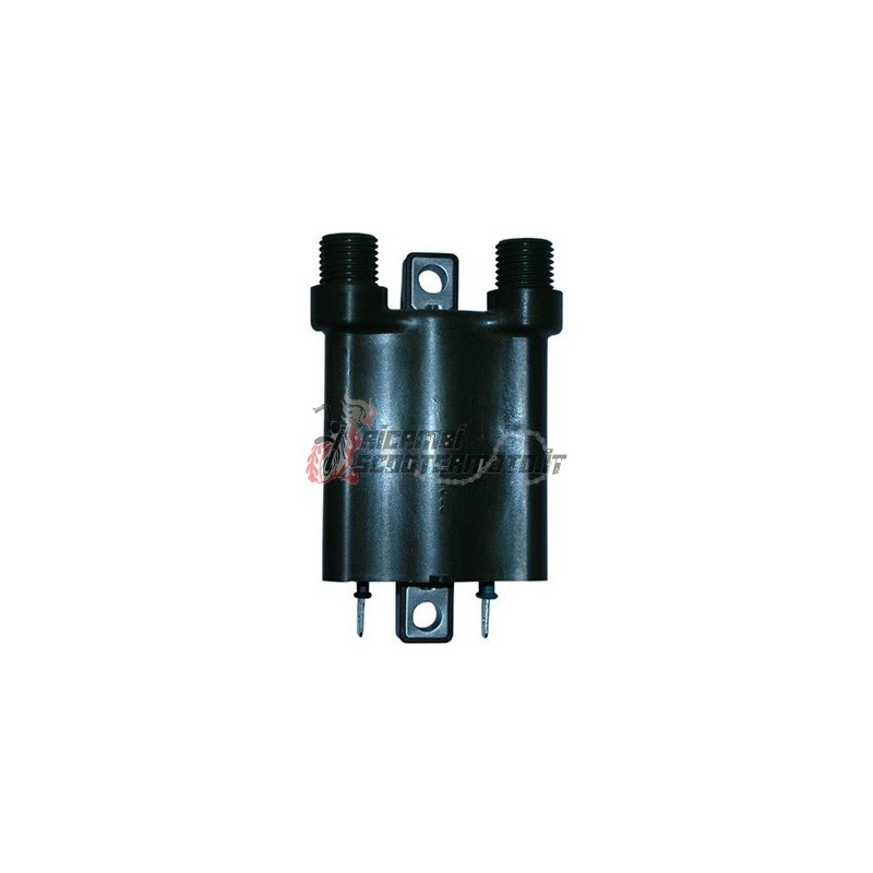 EXTERNAL AT COIL HONDA FJS Silver Wing 400 2006-2008 EXTERNAL AT COIL HONDA FJS Silver Wing 400 2006-2008