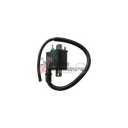 EXTERNAL AT COIL YAMAHA X-MAX ABS / X-MAX IRON MAX ABS / X-MAX MOMODESIGN ABS / 400 2014-2020