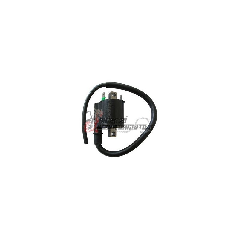 EXTERNAL AT COIL YAMAHA X-MAX ABS / X-MAX IRON MAX ABS / X-MAX MOMODESIGN ABS / 400 2014-2020