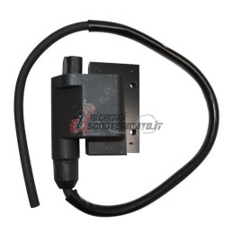 EXTERNAL AT COIL DAELIM SL S1 Otello FI 125 2007-2012