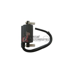 EXTERN AN DER SPULE SUZUKI VL Intruder LC 125 2000-2009
