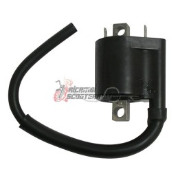 EXTERNAL AT COIL FANTIC MOTOR Caballero Regolarità Comp. LC 4T 125 2013-2013