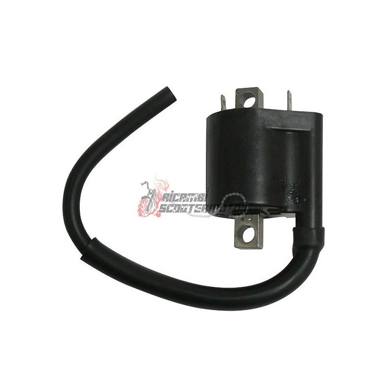 EXTERNAL AT COIL FANTIC MOTOR Caballero Regolarità Comp. LC 4T 125 2013-2013 EXTERNAL AT COIL FANTIC MOTOR Caballero Regolarità Comp. LC 4T 125 2013-2013