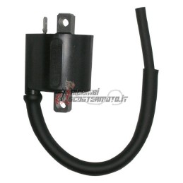 BOBINA EXTERNA SUZUKI DR S Big 750 1988-1990