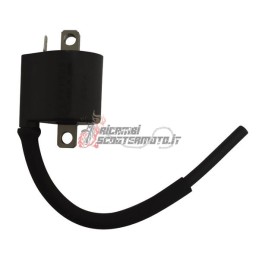 EXTERNAL AT COIL SUZUKI LT Z Quadsport 400 2004-2007