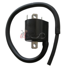 EXTERN AN DER SPULE YAMAHA MT-01 1700 2005-2011
