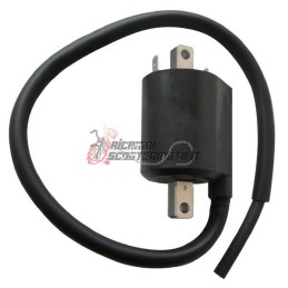 EXTERN AN DER SPULE YAMAHA XVS Drag Star Classic / V Star Classic 1100 2003-2006