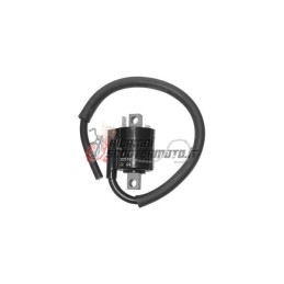 EXTERNE À LA BOBINE ITALJET Bazooka 2 50