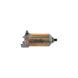 STARTER MOTOR Can Am Bombardier GS Spider Roaster SE5 Transmission 990 2009-2009
