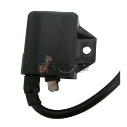 CONTROL UNIT ATALA Byte 50 1997-2000