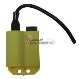CONTROL UNIT SUZUKI AY Katana AC 50 1997-2004