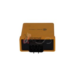 CONTROL UNIT YAMAHA XT R 125 2007-2012