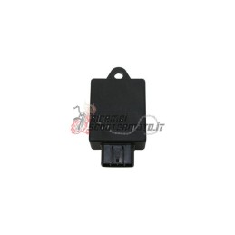 CONTROL UNIT PEUGEOT Ludix Pro 2T 50 2009-2011