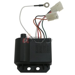 CONTROL UNIT GILERA RCR 50 2001-2005