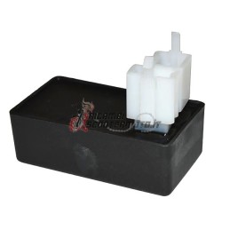 CONTROL UNIT BETAMOTOR Eikon 125 2000-2002