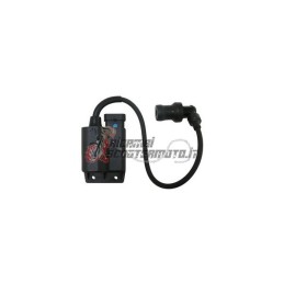 CONTROL UNIT APRILIA Scarabeo 4T / Rst 4T / Net 4T 100 2001-2009