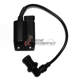 UNIDAD DE CONTROL DERBI Atlantis 4T 100 2004-2006