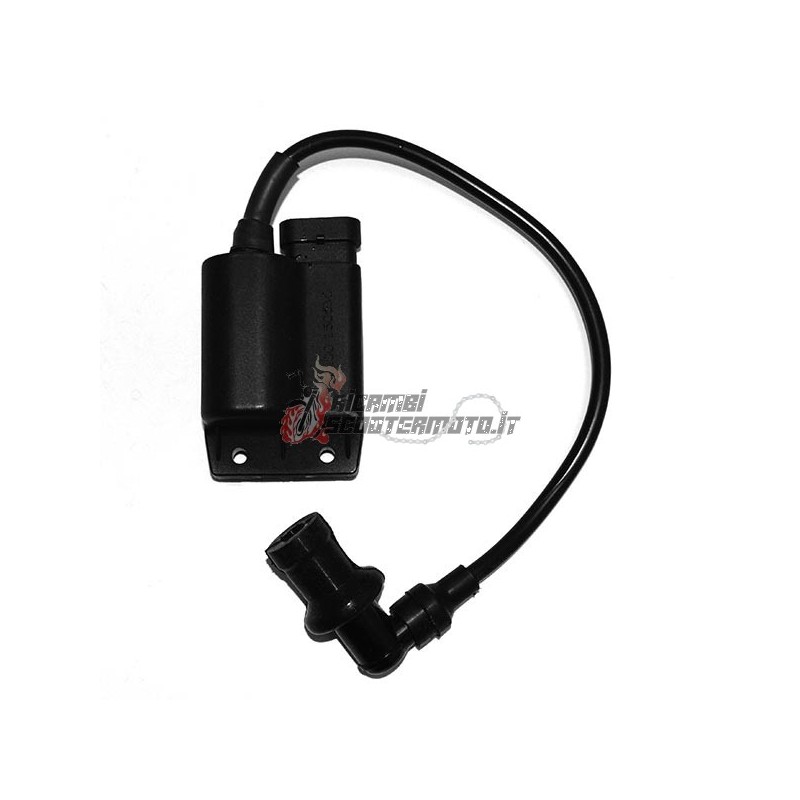 UNITÉ DE CONTRÔLE DERBI Atlantis 4T 100 2004-2006