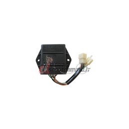 CONTROL UNIT SUZUKI GS 500 2001-2002