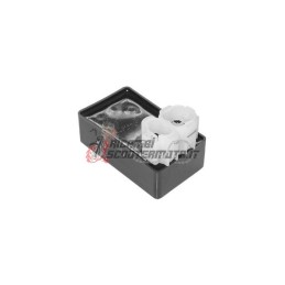 CONTROL UNIT PGO Alloro 4T 125 