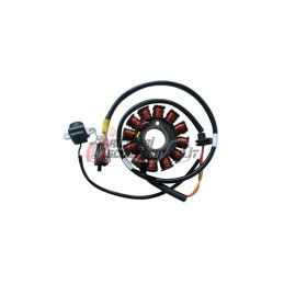 STATOR MALAGUTI Ciak Master E3 125 2006-2008