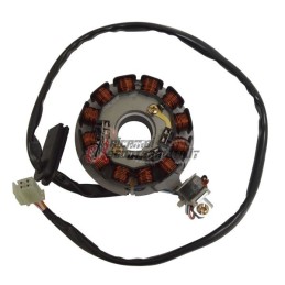 STATOR BETAMOTOR RR Enduro AM6 K/S E2 50 2008-2009