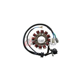 ESTATOR YAMAHA XT R 125 2002-2006