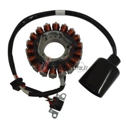STATOR MALAGUTI Password / Password E3 250 2007-2009
