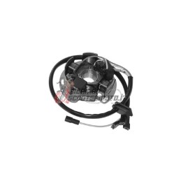 STATOR DERBI GPR / GPR E2 50 2006-2009