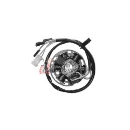 STATOR GILERA RCR 50 2006-2007