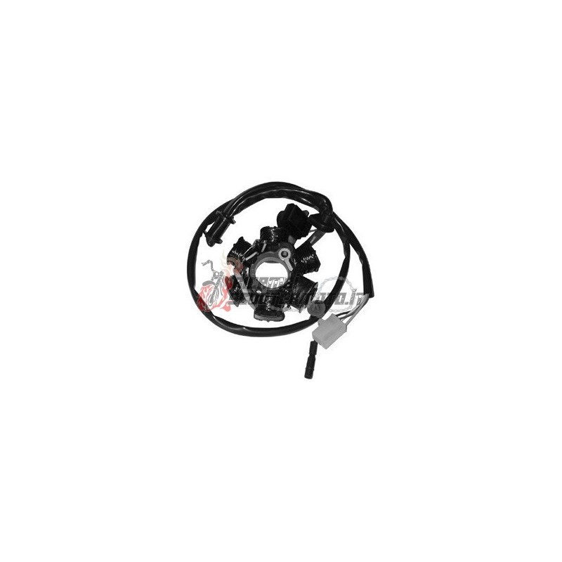 ESTATOR PEUGEOT Vivacity C/Antifurto AJP 50 1999-2007