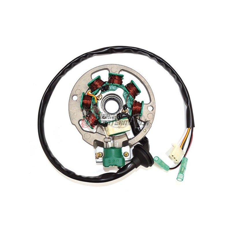 ESTATOR E-TON AXL / NXL / TXL Lightning/D 2T 50 1999-2001