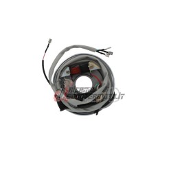STATOR PIAGGIO Ape P 501 190 1978-1996