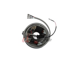 ESTATOR PIAGGIO Ape TM 220 2009-2015