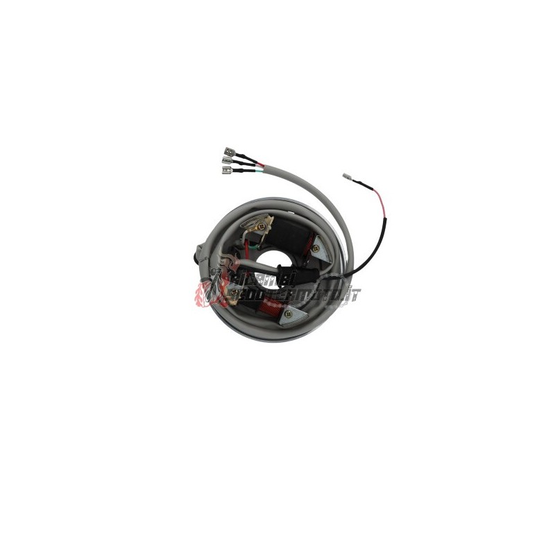 STATOR PIAGGIO Ape TM 220 2009-2015