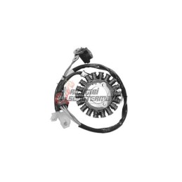 STATOR DAELIM S2 SQ Freewing 250 2006