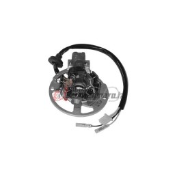 ESTATOR E-TON AXL / NXL / TXL Lightning/D 2T 50 1999-2001