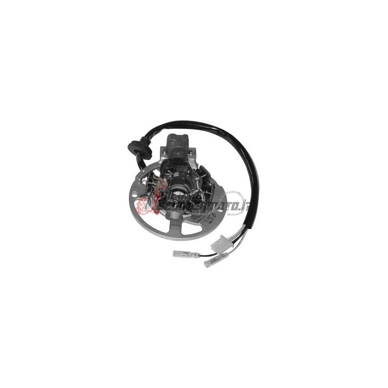 ESTATOR E-TON AXL / NXL / TXL Lightning/D 2T 50 1999-2001 ESTATOR E-TON AXL / NXL / TXL Lightning/D 2T 50 1999-2001