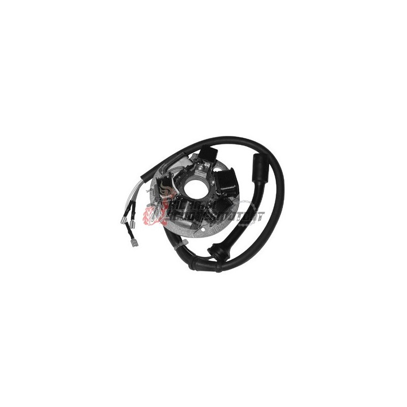 STATOR PIAGGIO Vespa FL 50 1990-1990 STATOR PIAGGIO Vespa FL 50 1990-1990