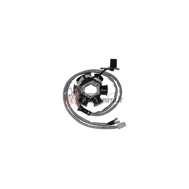 ESTATOR GILERA Easy Moving 50 1995-1996