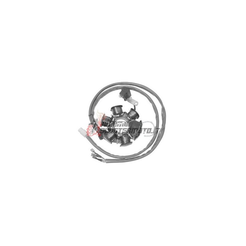 ESTATOR PIAGGIO Free FL/FL2 DT 50 1995-1999