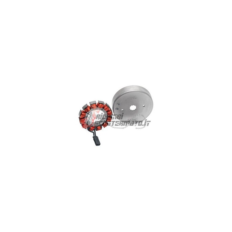 ESTATOR DEL ROTOR DEL VOLANTE HARLEY DAVIDSON FLHR Electra Glide Road King 1340 1996-1996